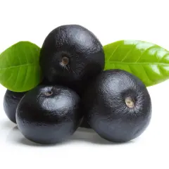 Acai, piccoli frutti viola scuro con foglie verdi, noti per le loro eccezionali proprietà benefiche.