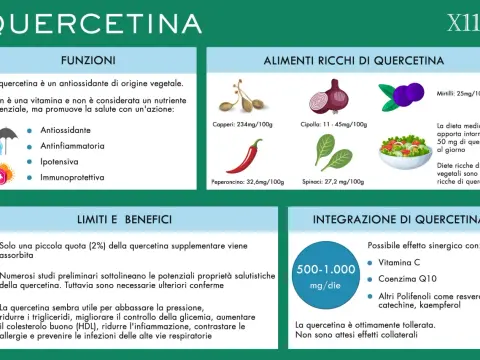 Quercetina - Benefici, dosi e come scegliere l'integratore giusto