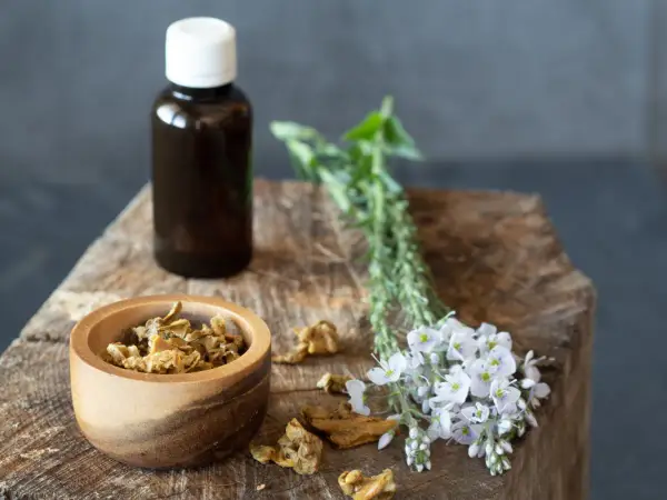 Bocciolo di legno con erbe essiccate, fiori bianchi e una bottiglia scura: ingredienti per un antibiotico naturale più potente.